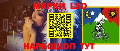 бошки Шелехов