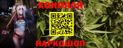 бошки Шелехов