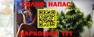 бошки Шелехов