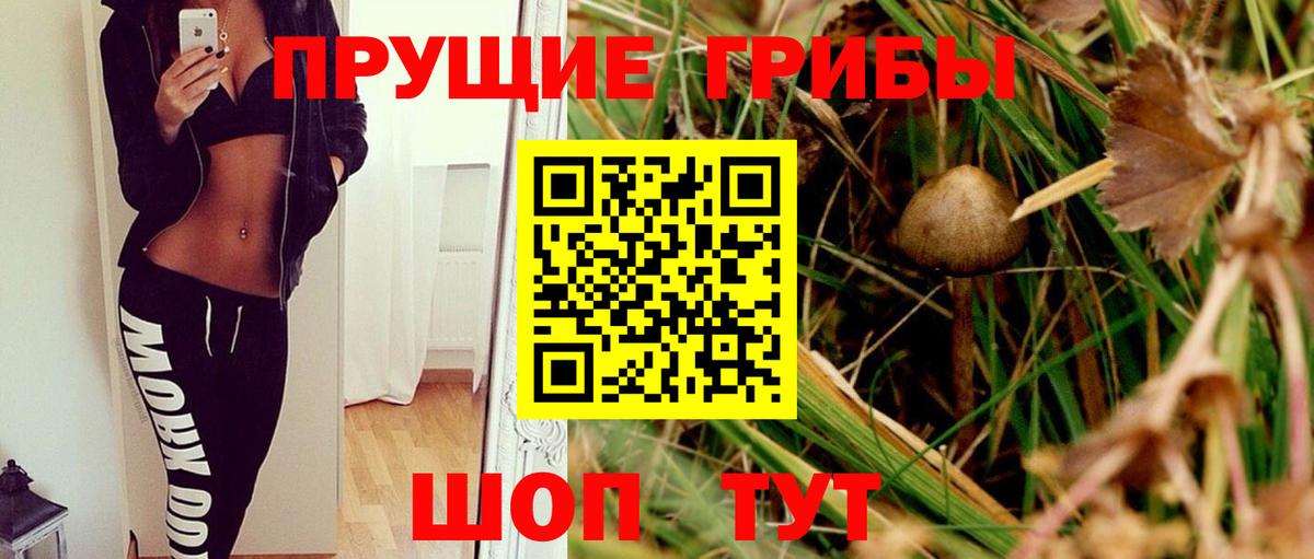 Галлюциногенные грибы Psilocybine cubensis Борисоглебск