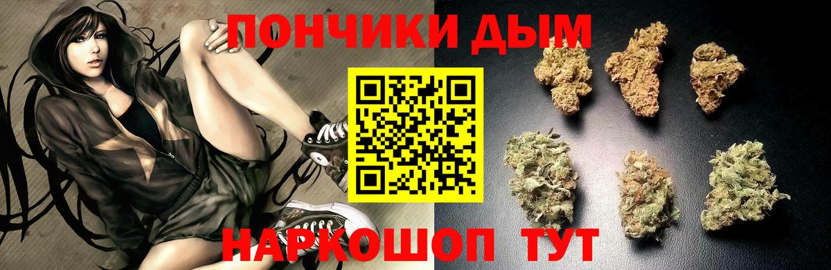 Бошки Шишки семена Борисоглебск